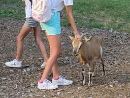 image1318